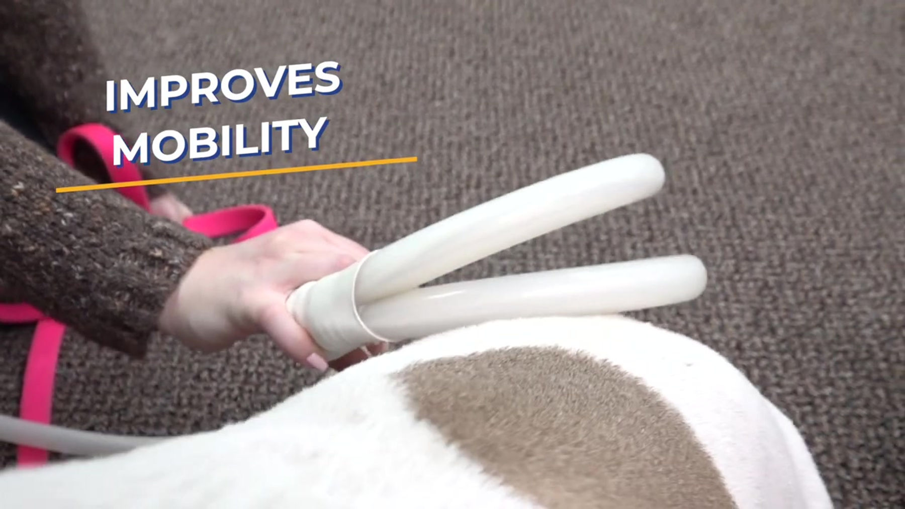 Pet-Benefits